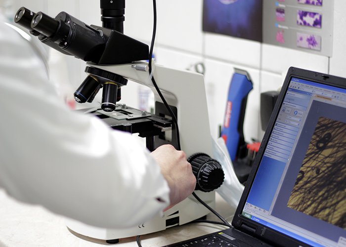 Μικροσκόπιο