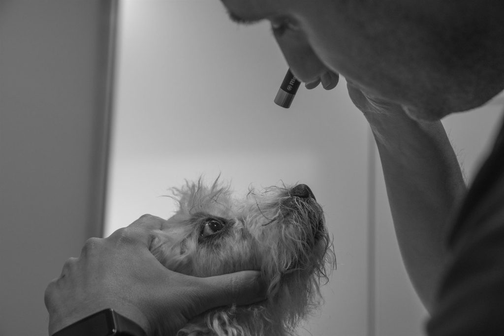 2 διαγνωστική υποστήριξη