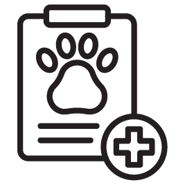 ΔΙΑΓΝΩΣΤΙΚΗ ΥΠΟΣΤΗΡΙΞΗ