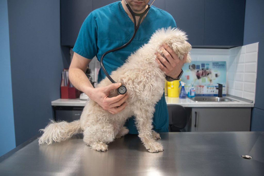 Παθολογικη προληπτικη ιατρικη