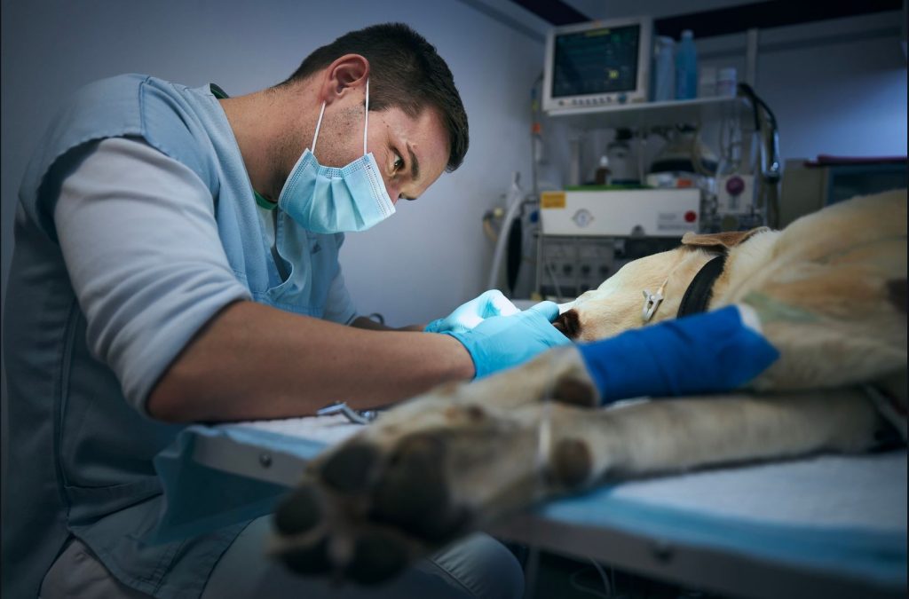 ΧΕΙΡΟΥΡΓΙΚΈΣ ΕΠΕΜΒΑΣΕΙΣ